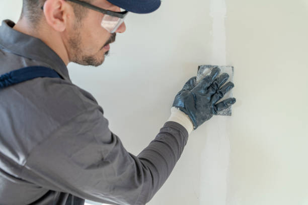 Best Attic Mold Removal  in Mount Vernon, GA