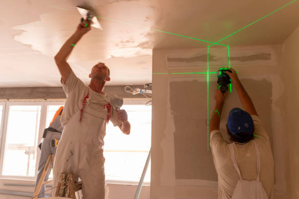Best Post-Construction Mold Inspection  in Mount Vernon, GA