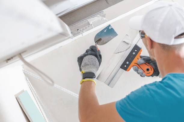  Mount Vernon, GA Mold Removal Pros